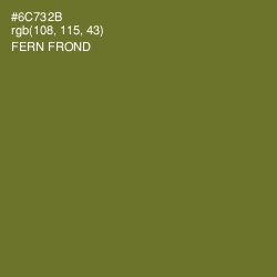 #6C732B - Fern Frond Color Image